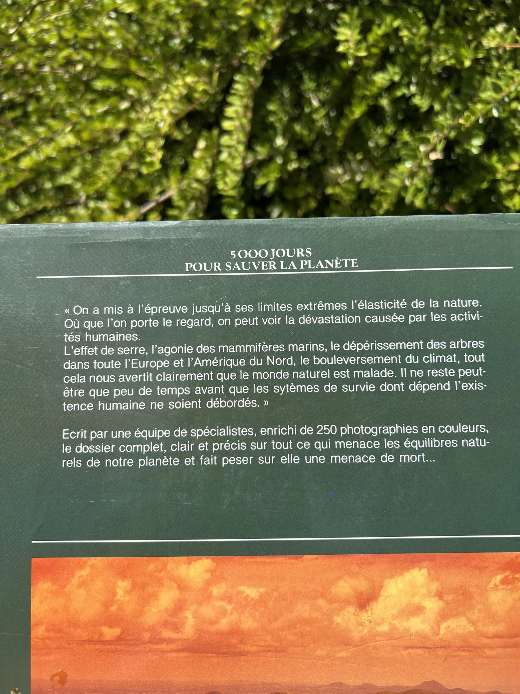 🌍 5000 dagen om de planeet te redden – Geïllustreerd ecologieboek Edward Goldsmith – photo 6